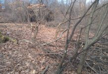 La doi ani după ce l-a lovit cu parul în cap, agresorul nu a fost trimis în judecată! Șengher a fost reținut vineri pentru furt de lemne