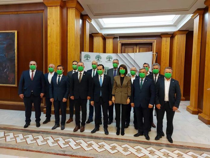 FB_IMG_1646231381693