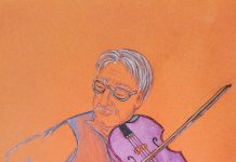 Viața ca o poveste – Măiastra – vioara sufletului