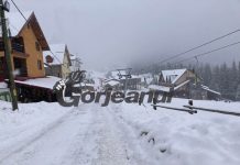 Ninsoare proaspătă la Rânca!