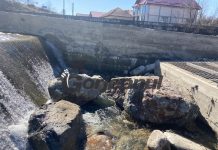 Sute de mii de euro de la UE pentru salvarea peștilor din Gilort!