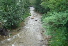 ,,Oltenia eterna Terra Nova’’ – În umbra lui Iovan Iorgovan – (3)