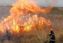 VIDEO| 33 de incendii în ultimele 24 de ore! Apel ISU Gorj: STOP incendiilor de vegetație uscată!