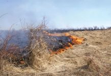Închisoare de la 3 la 5 ani sau amendă uriașă, pentru arderea miriștilor și obiectelor!