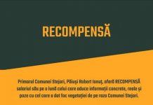 Primarul din Stejari: Trei zile în șir au ars pădurile! RECOMPENSĂ și pentru gunoaie!