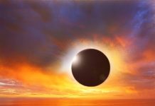 Educaţia… şi Lecţia de viaţă! – Manifestul Partidului Globalist ,,GLOBALIŞTI DIN TOATE ȚĂRILE, UNIȚI-VĂ”!