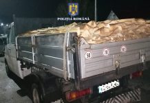 Transportatorii de lemne din Bolboși, Padeș și Ponoarele, amendați de polițiști din Motru și Tismana