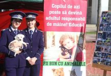 Târg de adopții! Nouă cățeluși și-au găsit câte o familie