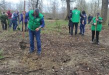 Proiect ecologist la Gorj! Parcul Gilort completat cu brazi și mesteceni de la PER