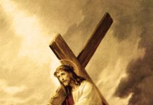 Educaţia…şi Lecţia de viaţă! – Despre păcatul morţii şi nădejdea de suflet a învierii – „Păziţi-vă de prorocii mincinoşi. Ei vin la voi îmbrăcaţi în haine de oi, dar pe dinăuntru sunt nişte lupi răpitori”!