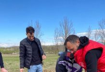 Ciuperceni: Secretar de stat, la plantat de paltini