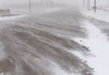 Val de aer polar în Europa