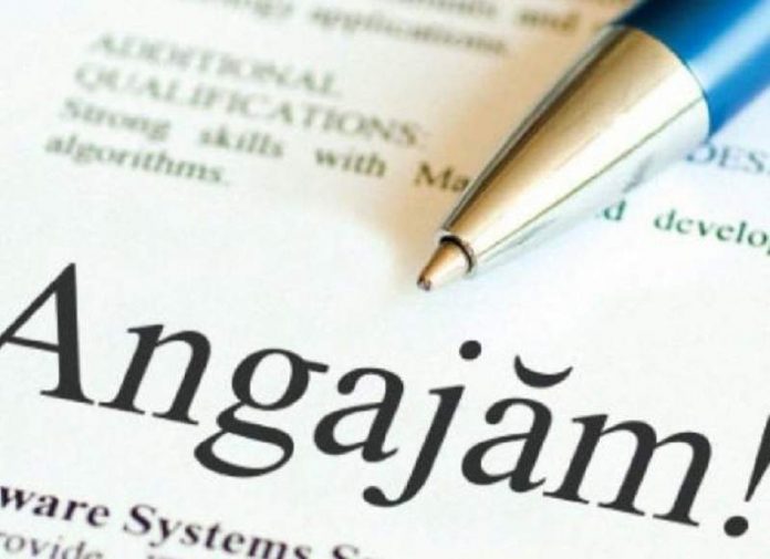 Post de șofer la primărie. Cerințe!