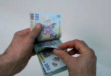 1 Iunie: 3.000 de lei, salariul minim în agricultură și industria alimentară