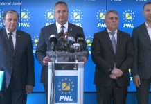 Și-a depus candidatura pentru șefia PNL