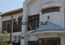 Pedeapsă pentru furt de lemne