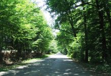 Călător în umbra Vâlcanului