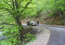 Călător spre Bordul Dobriţei