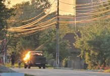 Coordonatorul de la Cariera Tismana, cu două dosare penale la activ, pe făraș