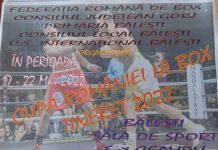 Începe Cupa României la Box