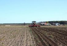 Agricultura pe înțelesul tuturor – Fertilizarea corectă a porumbului