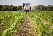 Agricultura pe înțelesul tuturor – Graficul lucrărilor agricole în luna mai