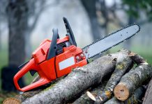 Face pușcărie pentru copacii tăiați din pădure