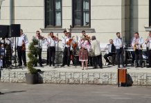 Doina Gorjului caută solistă