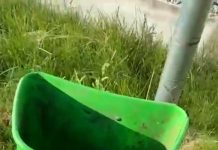 Parc vandalizat săptămânal. Edilitara: Astfel de incidente trebuie să dispară