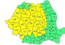 Cod Galben de vijelii