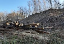 Gatere din Gorj și Caraș -Severin, amendate cu 140.000 de lei