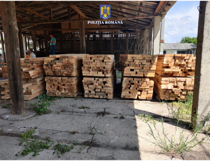 Controale la depozitele de material lemnos din Schela și Baia de Fier