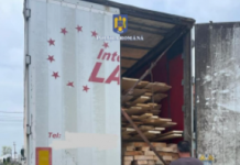 Plafonare: 500 de lei/metru cub de lemne de foc. Exportul, interzis!