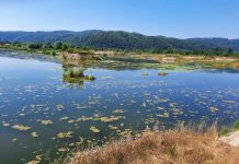 Excavații ilegale în albia râului Motru