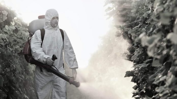 FB_IMG_1655504211209