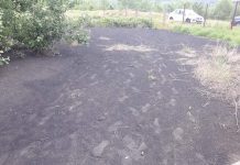 Amendă de 50.000 lei pentru UATAA Motru