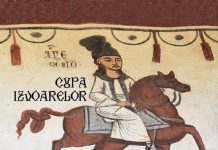 Cercetașii, la Slătioara: ,,Cupa izvoarelor”