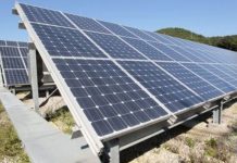 CEO, noi pași pentru parcurile fotovoltaice