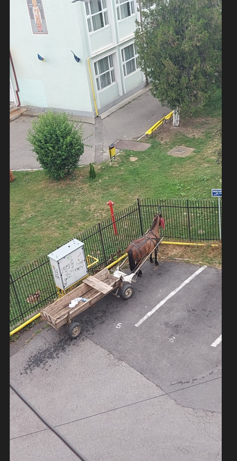 parcare regulamentara