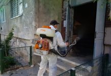 Dezinsecții săptămânale în spațiile verzi de la Rovinari