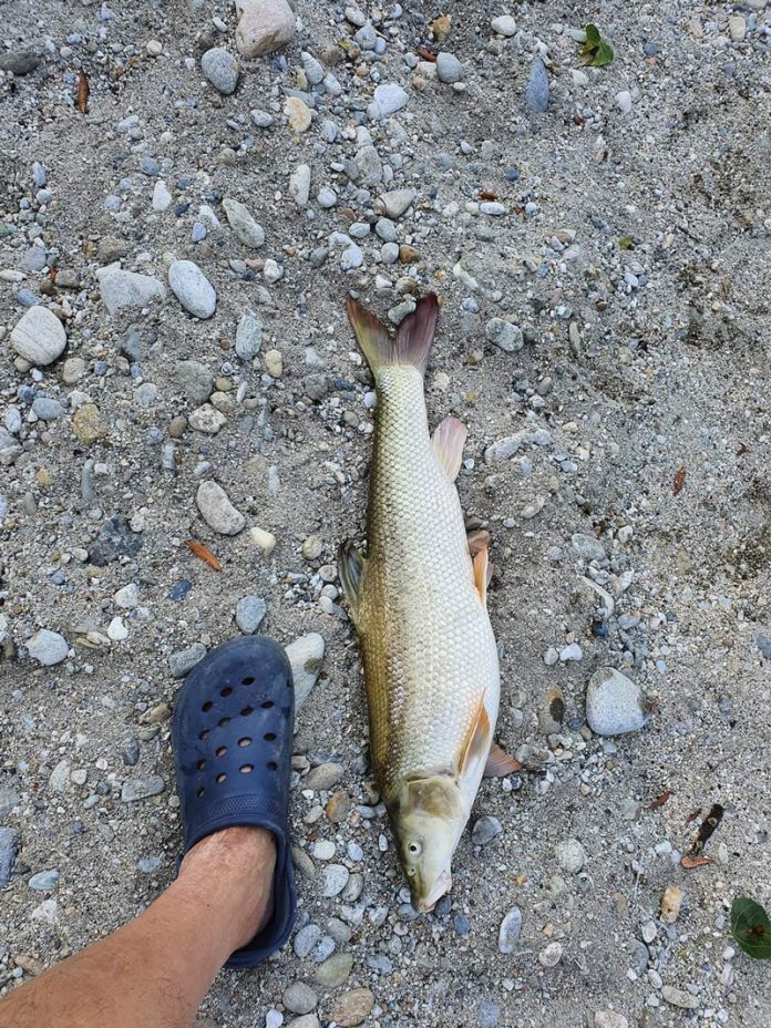 290980408_4999750746801781_9176303461293120837_n