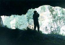 Carstul gorjean în cătarea vremii