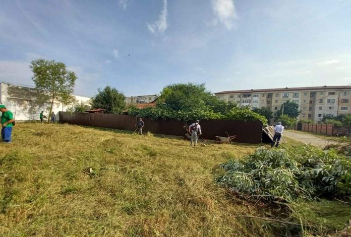 FB_IMG_1657319498560