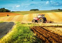 Puține solicitări pentru avizarea carnetelor de rentă viageră