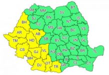 Gorjul, cod galben de caniculă