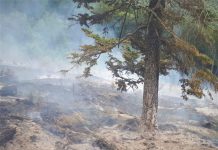 Gorjul, pe primul loc în țară la incendiile de pădure