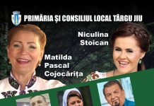 Spectacol la Târgu Jiu pentru un copil bolnav de cancer