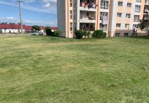 Edilitara Târgu Jiu: A treia campanie de tuns și cosit în cartiere