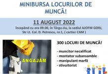 Târgu-Jiu: Minibursa locurilor de muncă