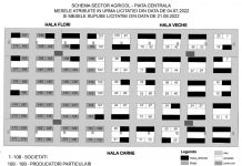 Edilitara: Licitație pentru tarabele din Piața Centrală